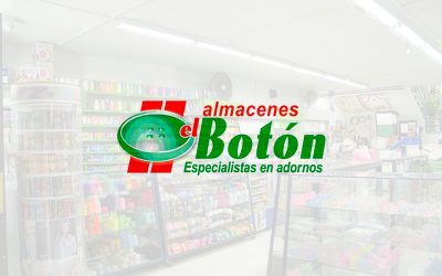 Cuadro En Lienzo Copa Manzanas